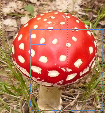 plakát
